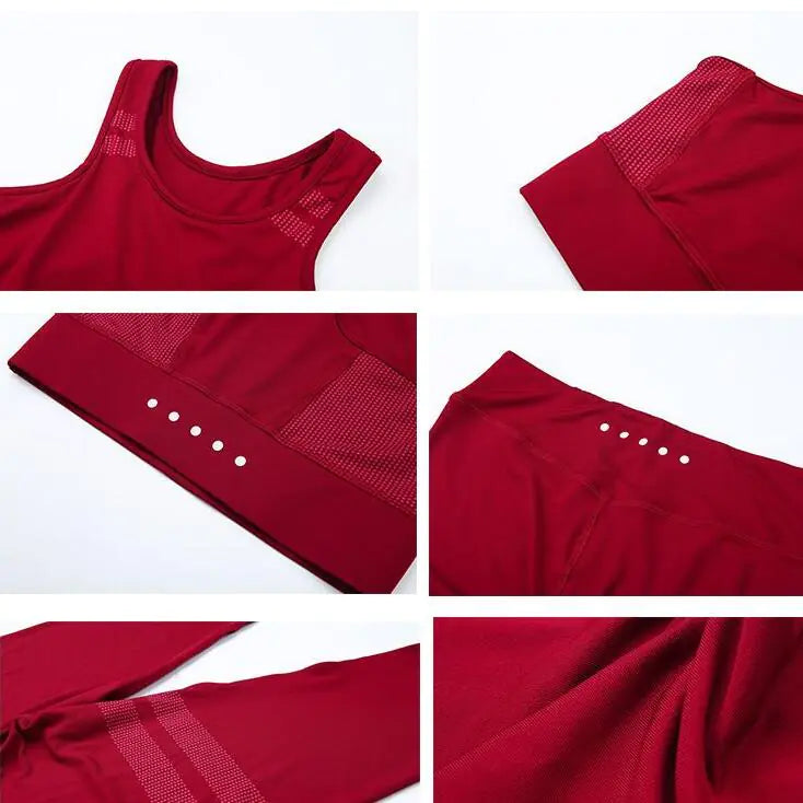 Ensemble de fitness