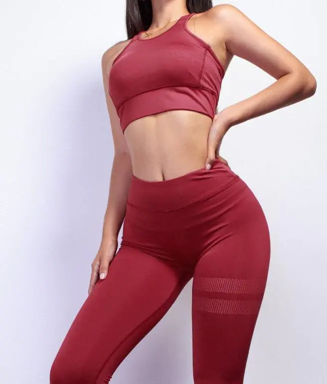Ensemble de fitness