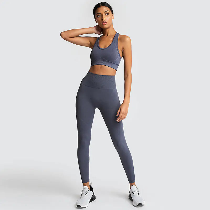 Ensemble de fitness