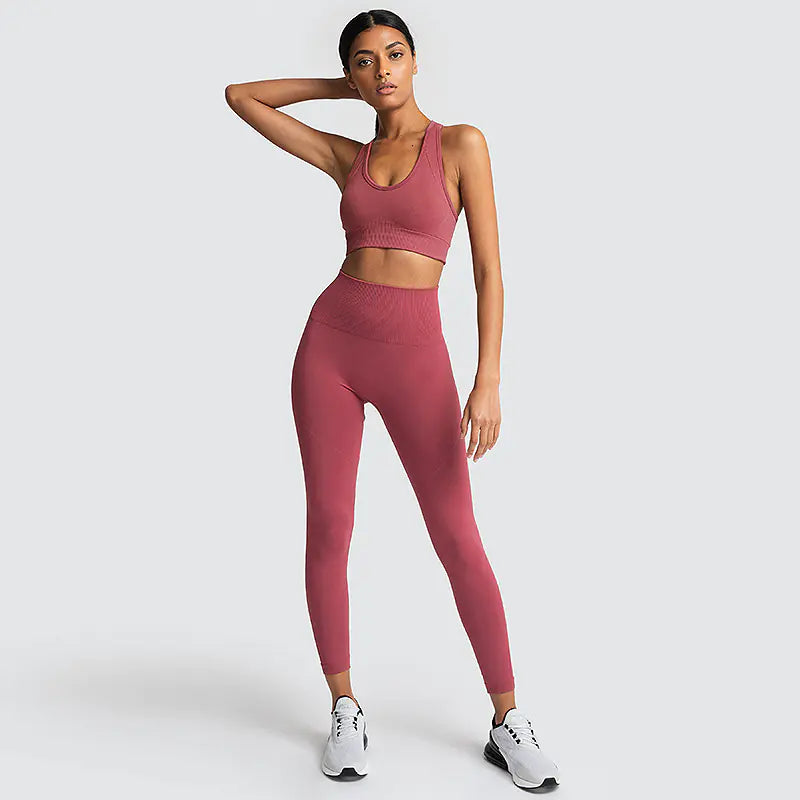 Ensemble de fitness