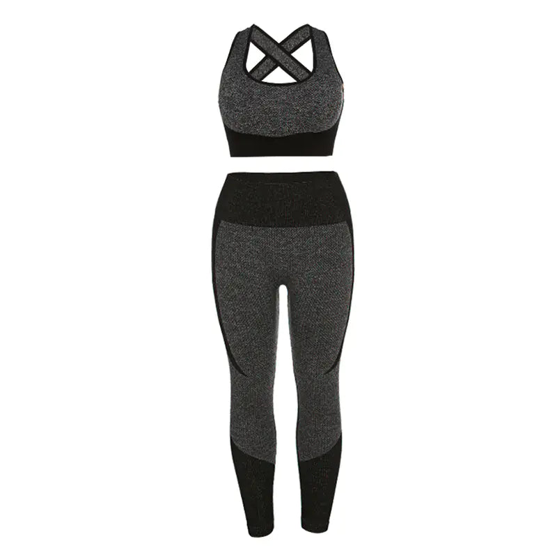 Ensemble de fitness
