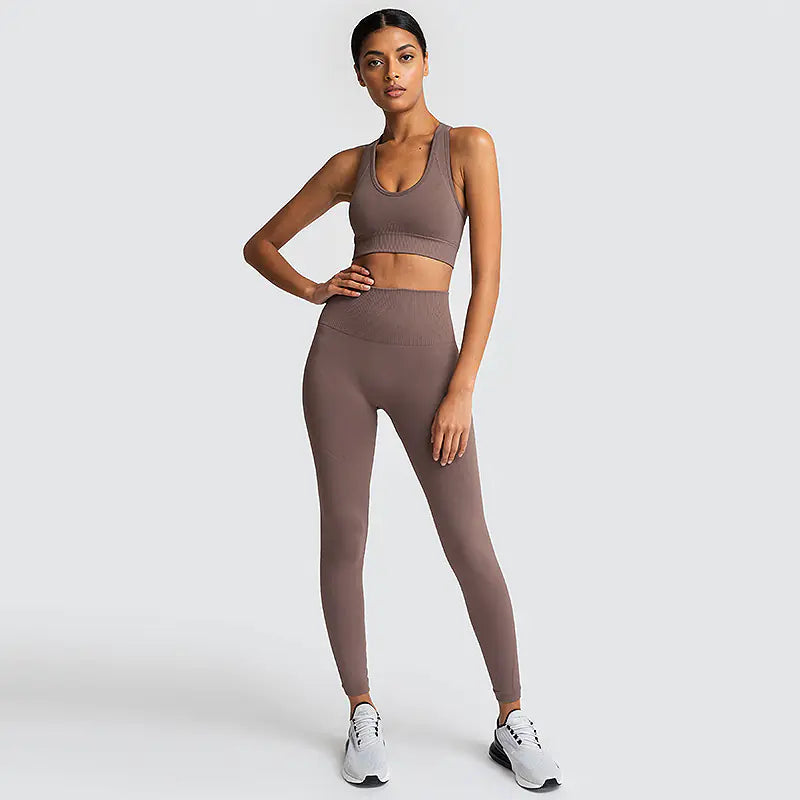 Ensemble de fitness