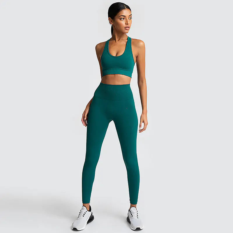 Ensemble de fitness