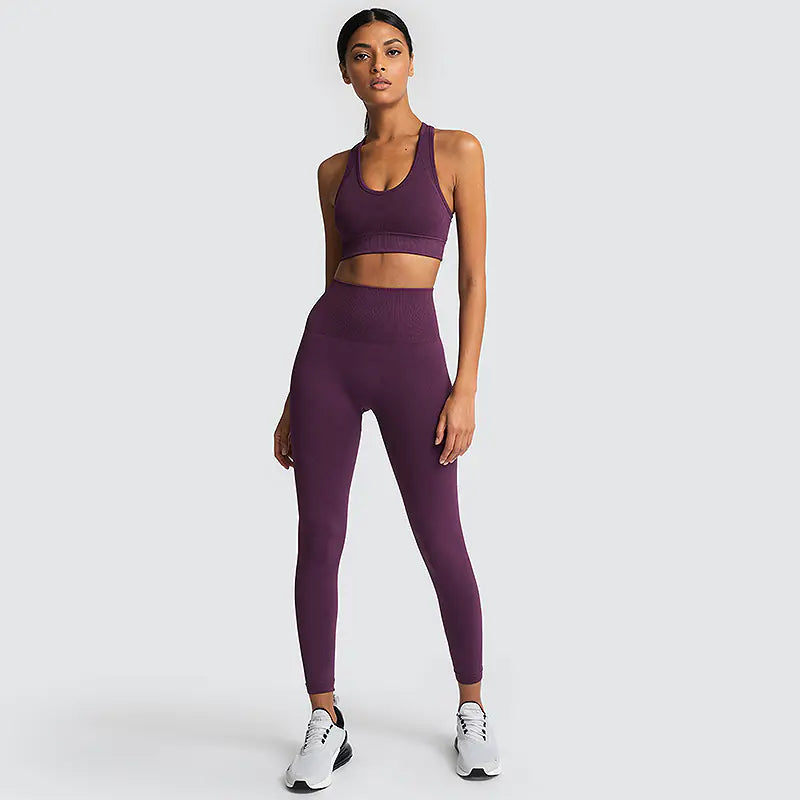 Ensemble de fitness