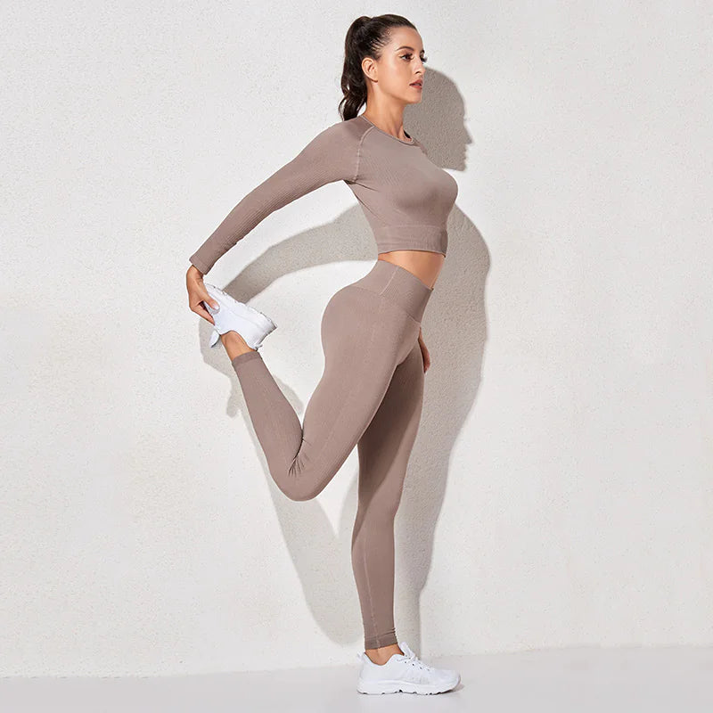 Ensemble de fitness