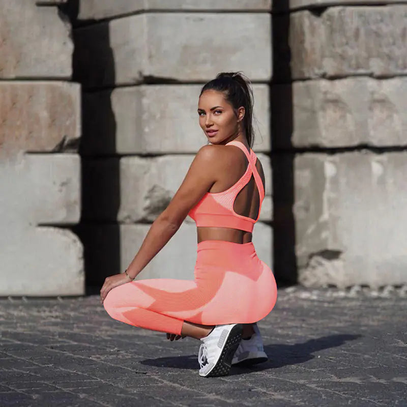 Ensemble de fitness